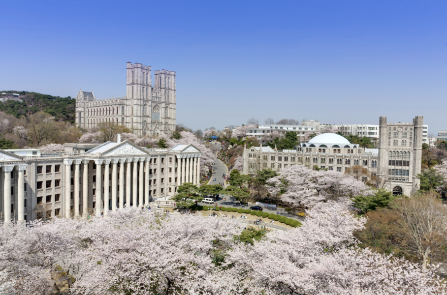 首爾自由行,慶熙大學空拍圖,校內有許多綻放的櫻花樹