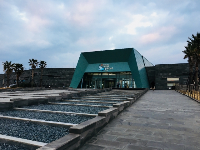 Explore Aqua Planet on Jeju Island, A Spectacular Aquarium with Captivating Underwater Wonders
