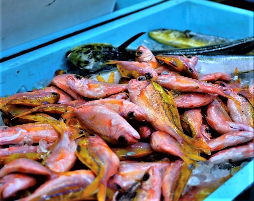 沖縄料理の店ーパヤオ直売店の海鮮の写真です。