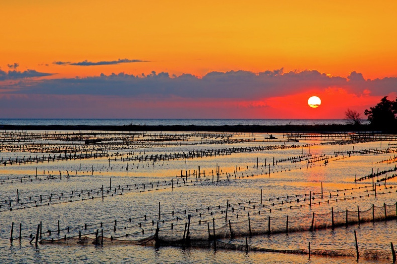 Capture the Breathtaking Sunset in Tainan, Your Guide to Tainan Car Rental.