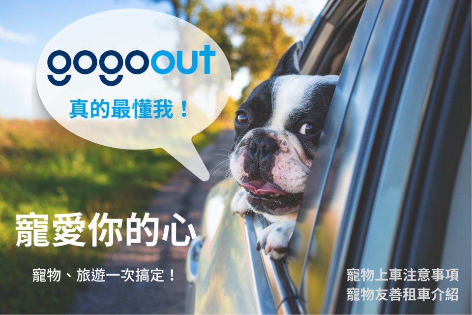 寵物租車，寵物租車文章首圖，一隻狗開心靠在車窗，頭伸出窗外