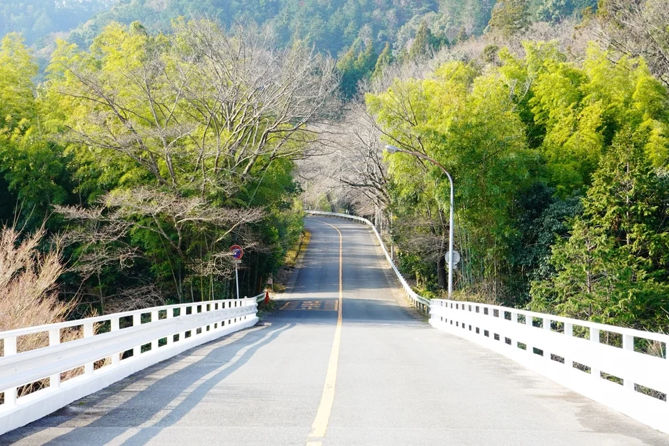 京都山上一處的車道,路中央有著黃色車道線