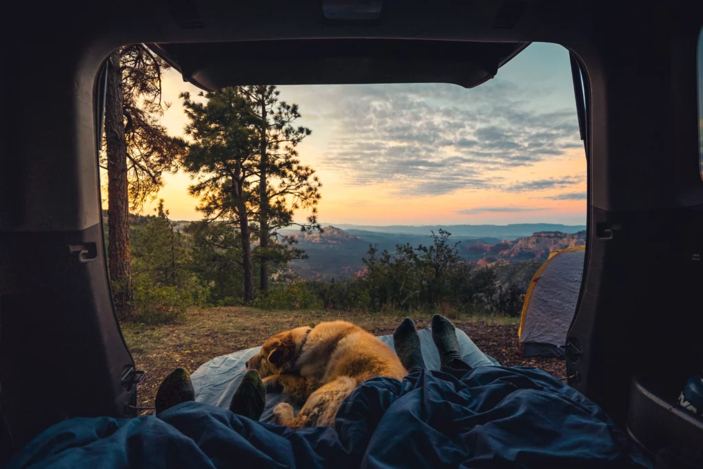 租露營車,兩個人躺在後車廂看著夕陽,與一隻狗一起露營