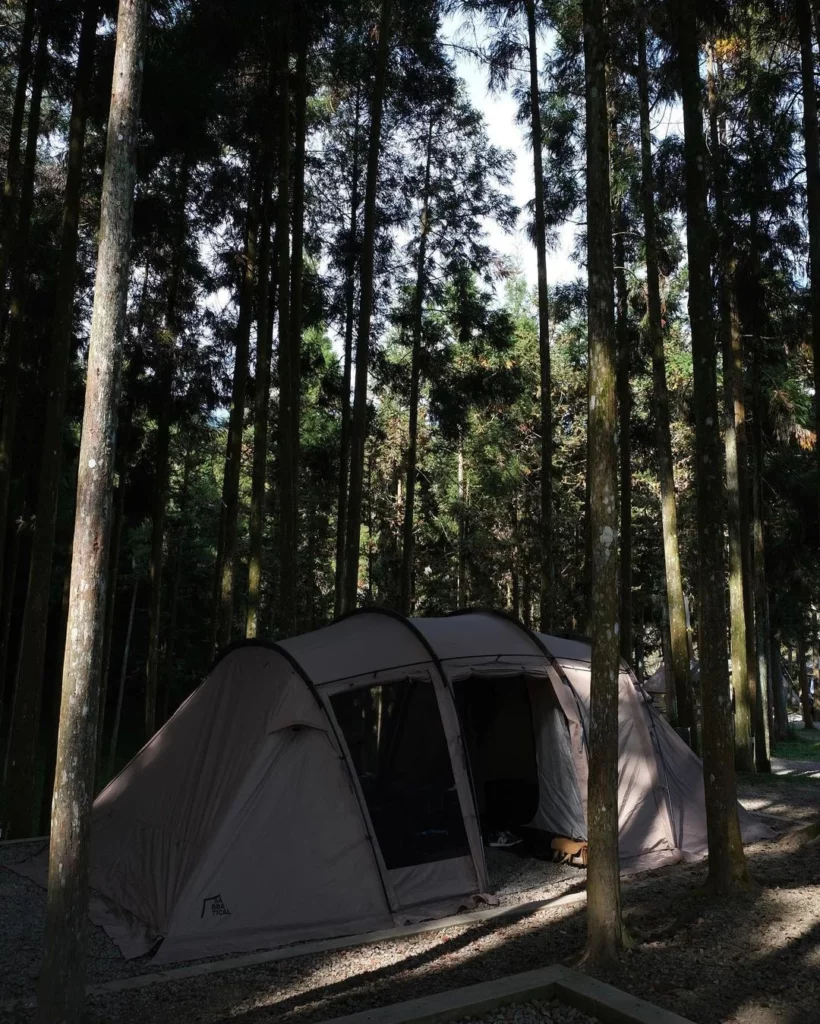 露營區推薦,戈巴倫露營區,森林系營區,一個帳篷是周圍繞著樹林