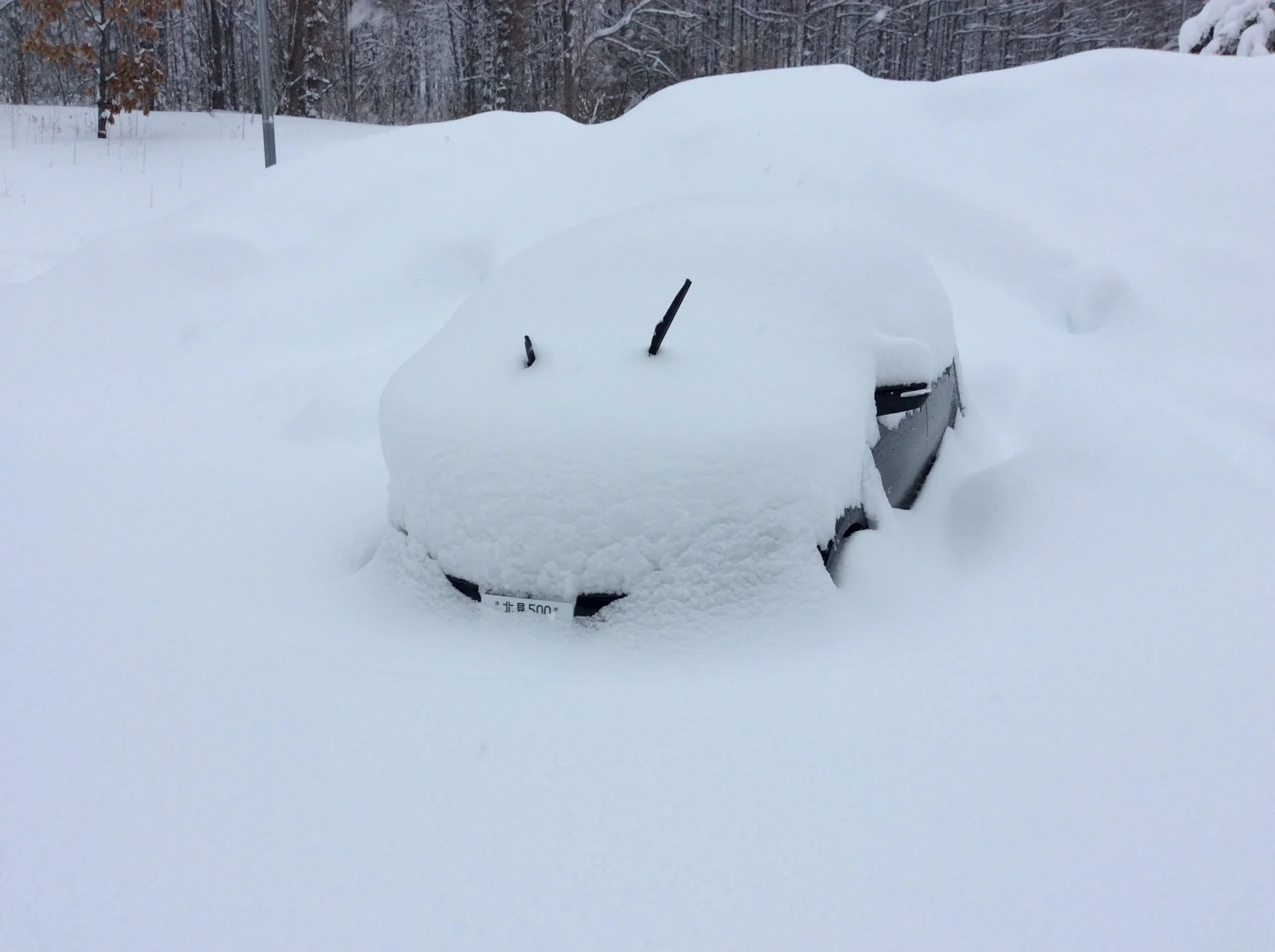 北海道汽車，一層厚厚大雪覆蓋在車輛上